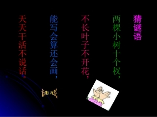 胖乎乎的小手 (2)