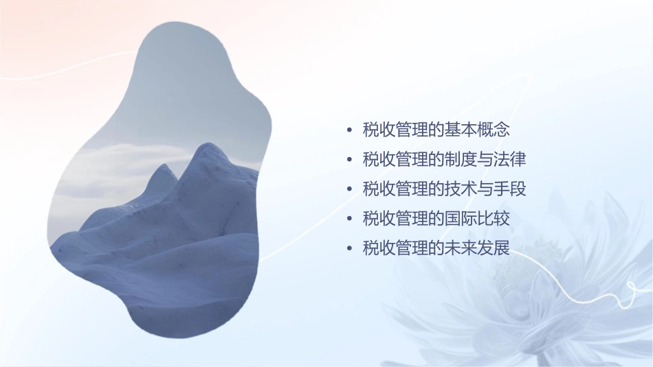 税收管理概述(导论)东北财经大学田雷课件_第2页