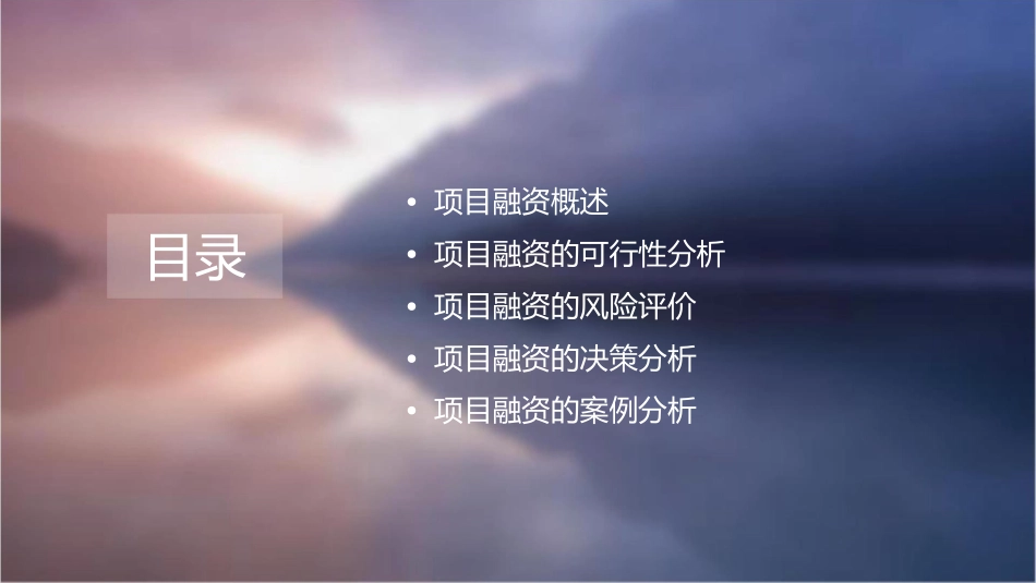 项目融资项目的分析与评价课件_第2页