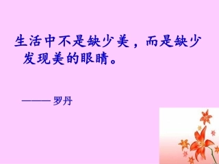 装在套子里的人