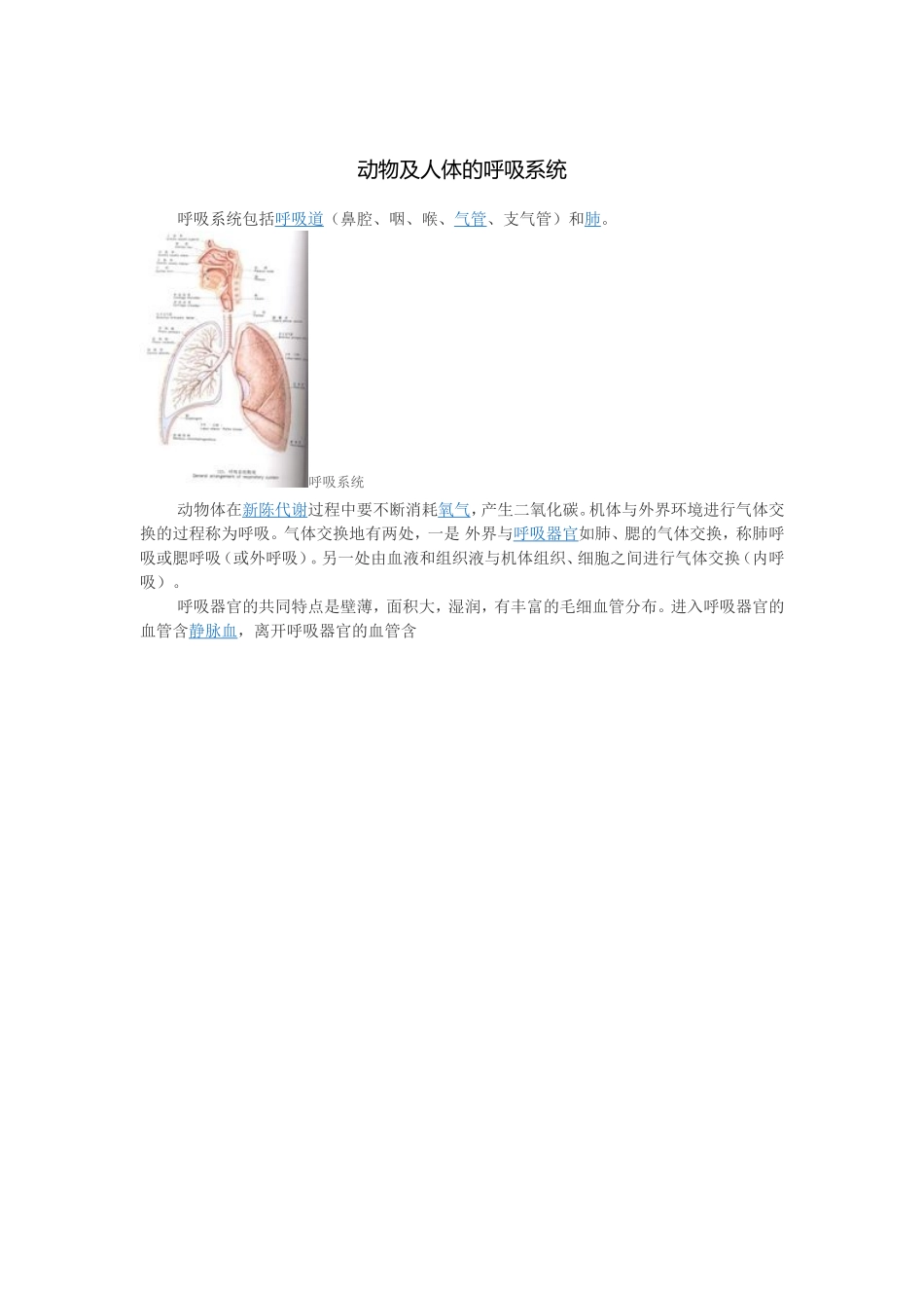 动物与人的呼吸系统 (2)_第1页