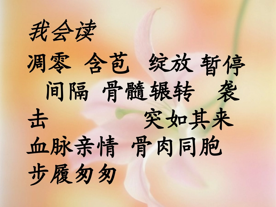 跨越海峡的生命桥课件 (2)_第2页