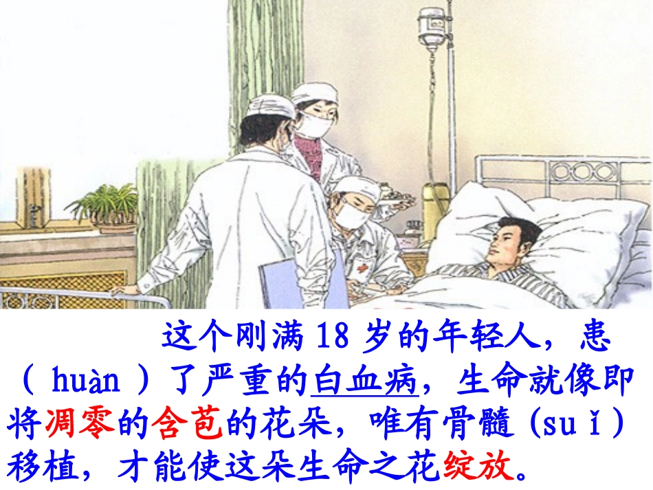 跨越海峡的生命桥课件 (2)_第3页