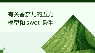 有关香奈儿的五力模型和SWOT课件