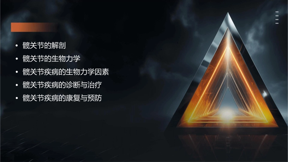 髋关节的解剖己生物力学课件_第2页