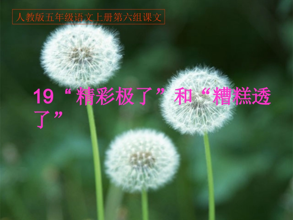 人教版五年级语文上册第六组《19“精彩极了”和“糟糕透了”》PPT课件_第1页