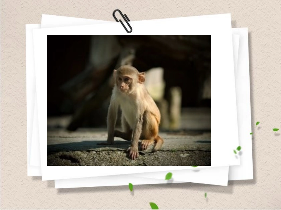 生物和生物圈_第3页