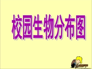 《校园生物分布图》教学课件