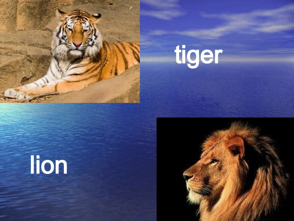 人教版新目标七年级下册unit3+课件_第3页