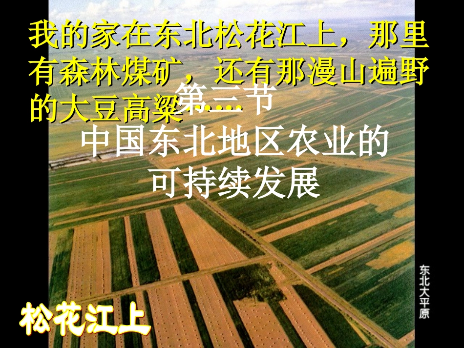 中国东北地区农业的可持续发展_第1页
