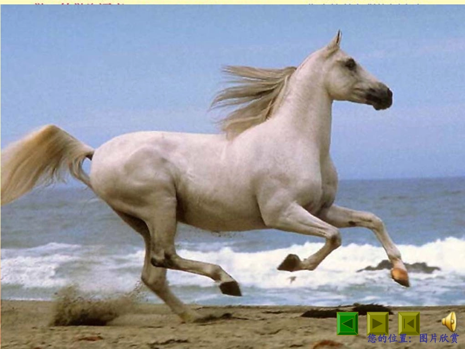 课件：马说[1]_第2页