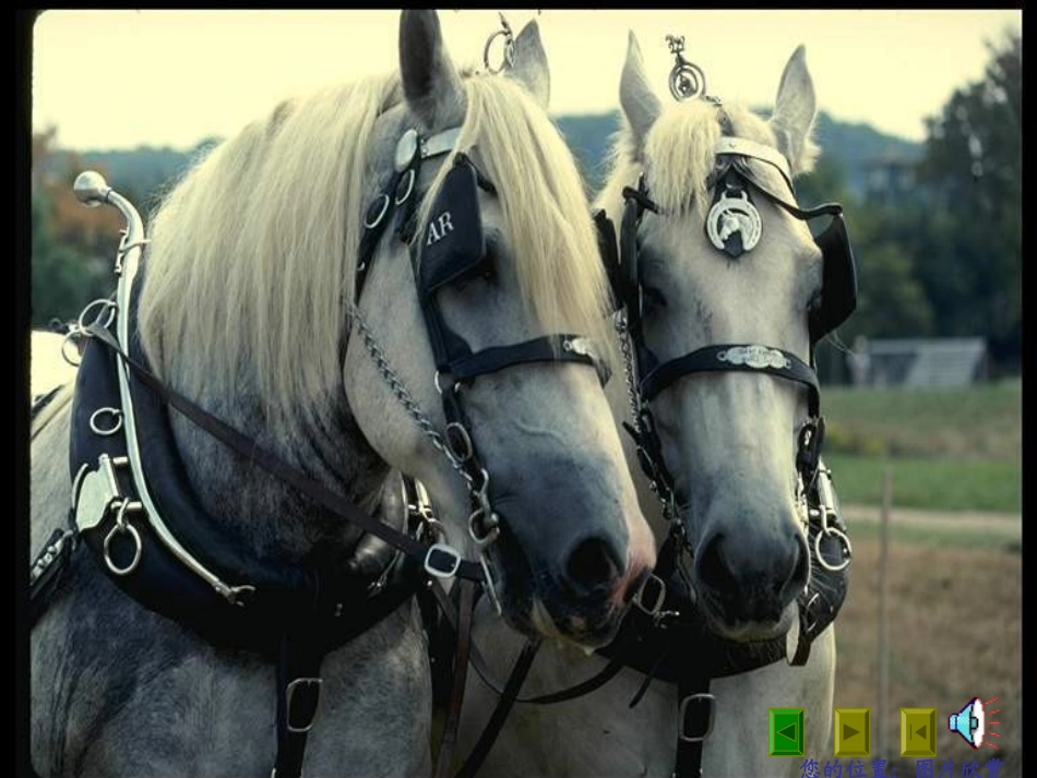 课件：马说[1]_第3页