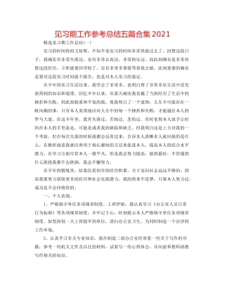 见习期工作参考总结五篇合集