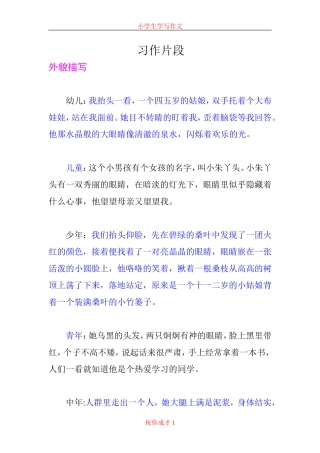 小学生实用习作片段