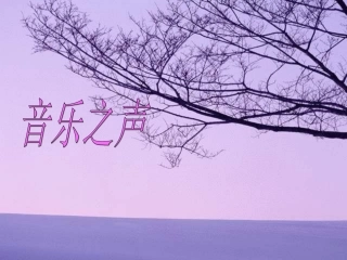 音乐之声——雪绒花 (3)