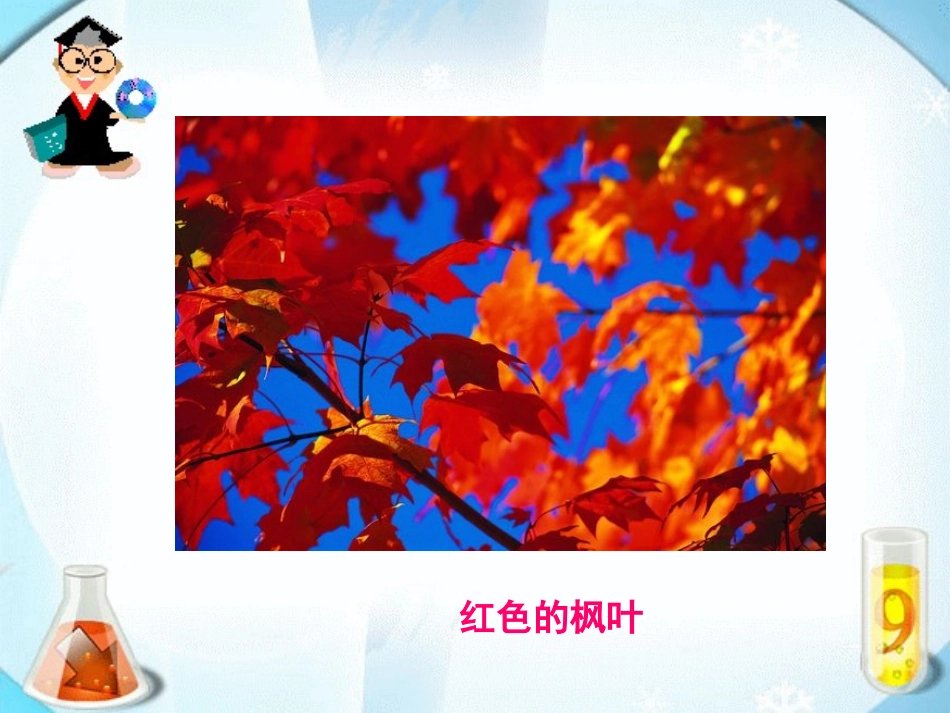 二年级上册19蓝色的树叶_第3页