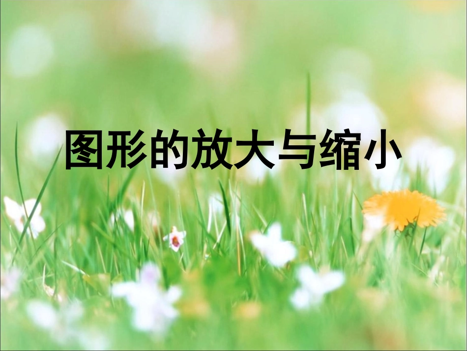 《图形的放大与缩小》教学课件2_第1页