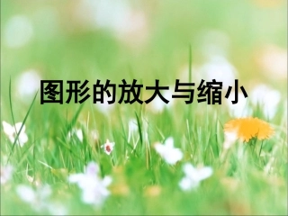 《图形的放大与缩小》教学课件2