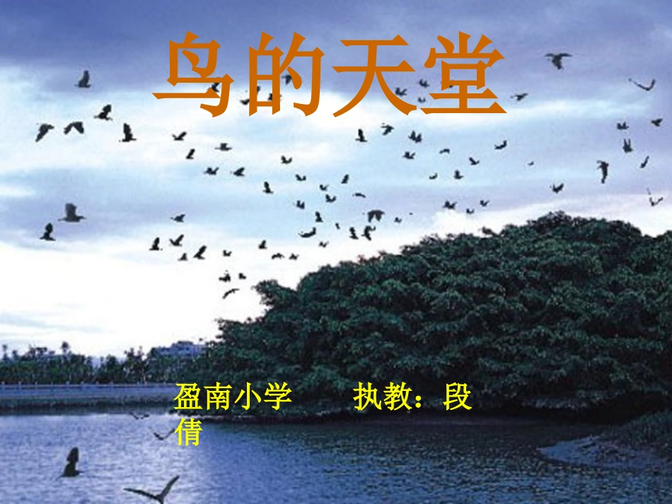 《鸟的天堂》课件1__(恢复) (2)_第1页