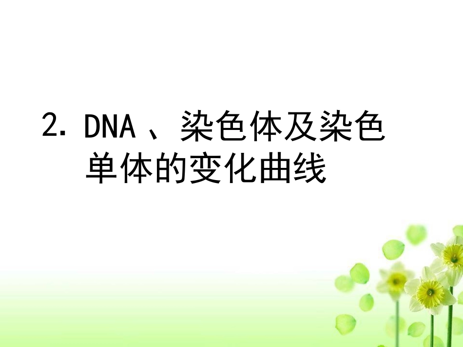 有丝分裂过程中的染色体、DNA和染色单体的变化规律_第3页