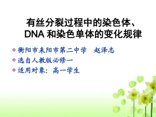 有丝分裂过程中的染色体、DNA和染色单体的变化规律