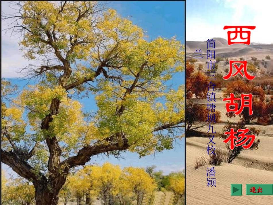 语文S版《西风胡杨》课件_第1页