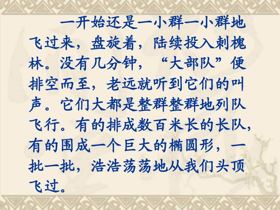 苏教版语文五下《灰椋鸟》PPT_第3页