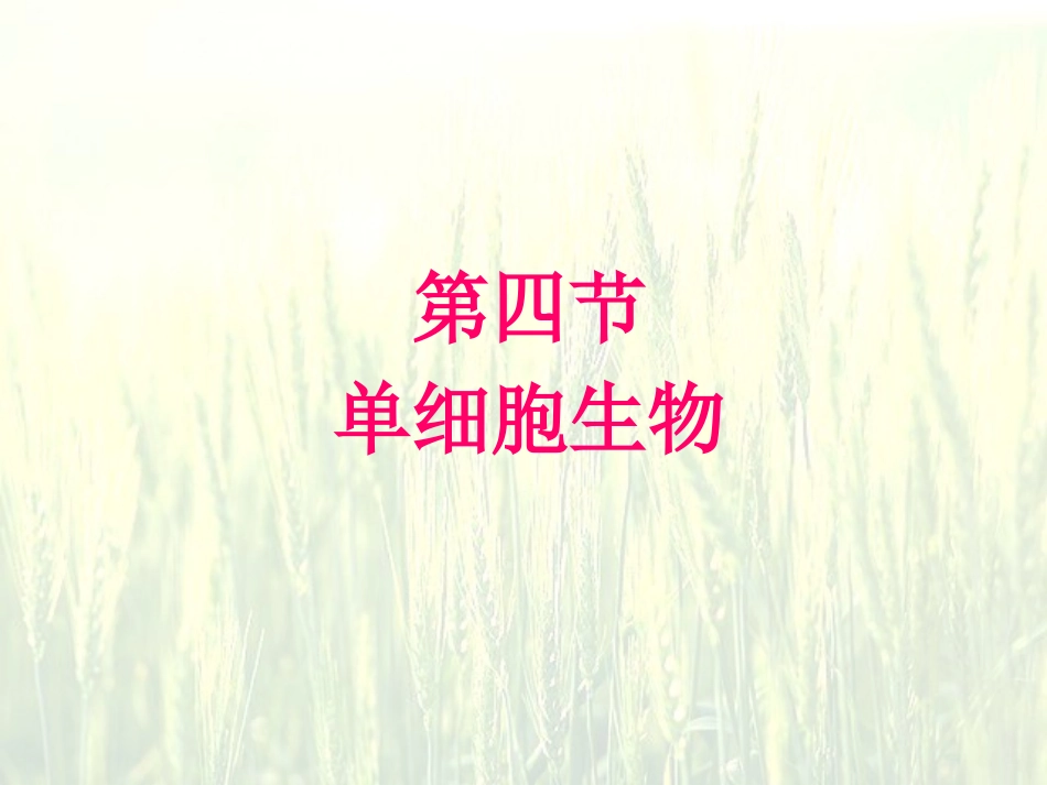 2241单细胞生物_第1页