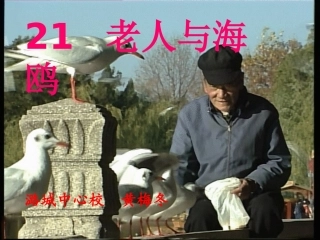 老人与海鸥第二课时PPT