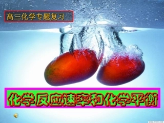 化学反应速率和化学平衡（精）