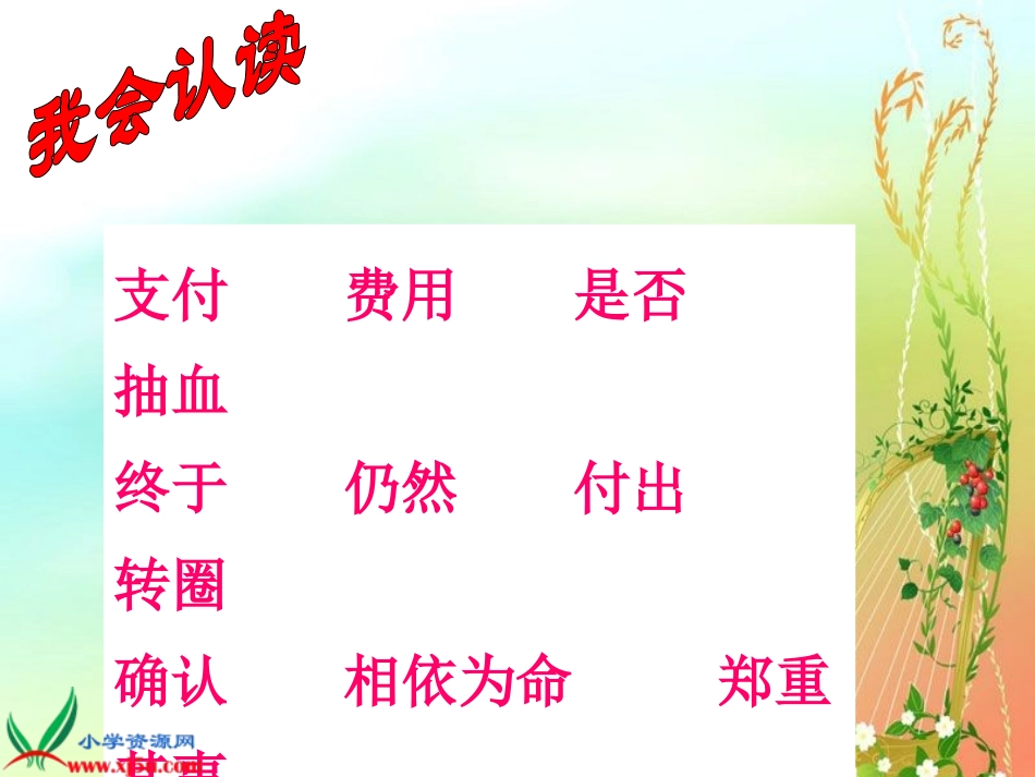 《平分生命_3》PPT课件_(1)_第3页