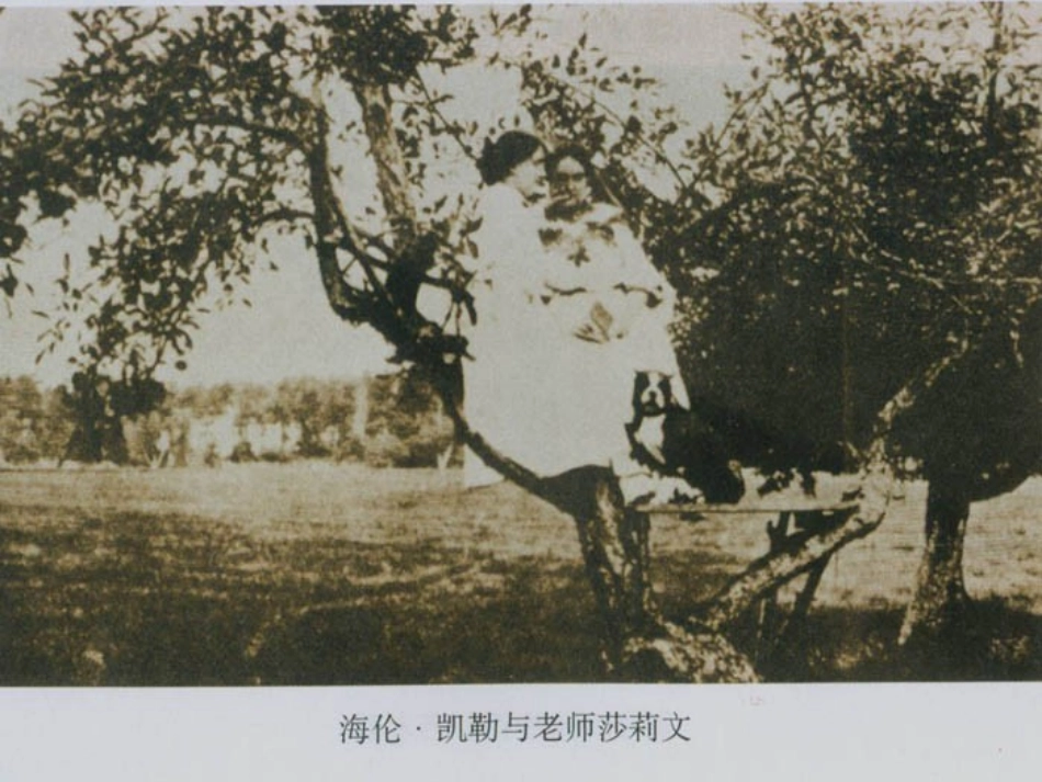 再塑生命5[1]_第1页