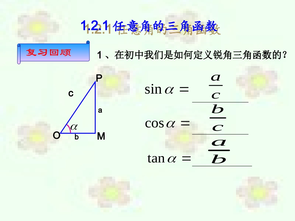 【数学】121任意角的三角函数（人教A版必修4）1_第2页