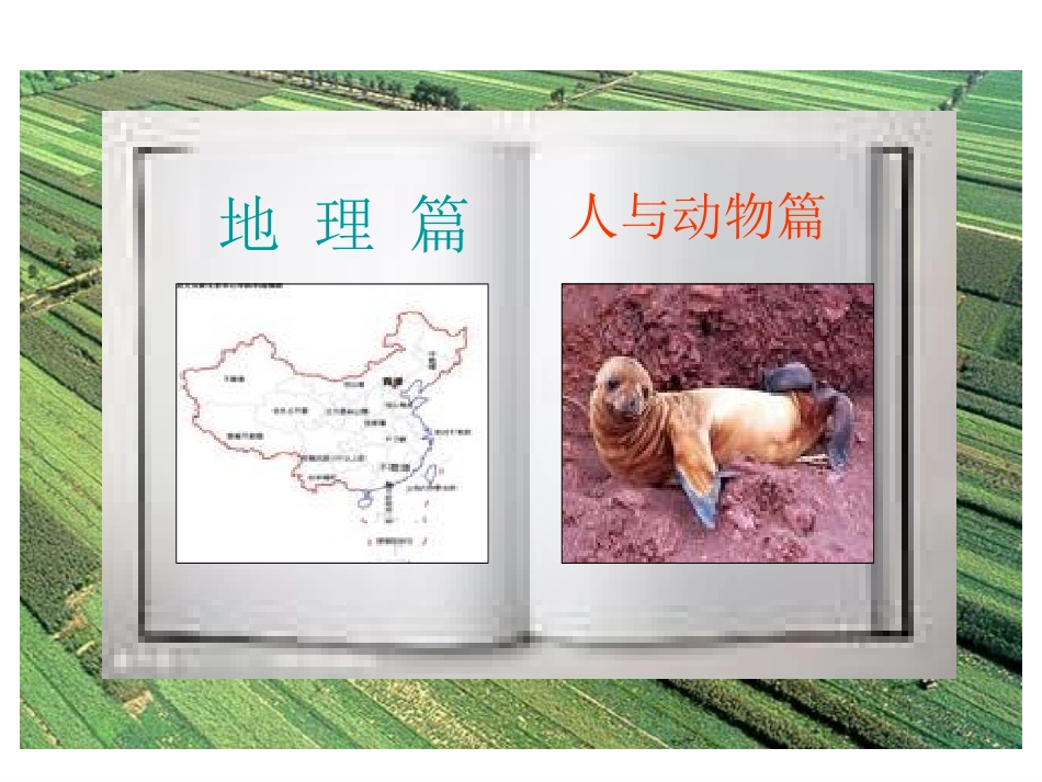 苏家乡中心学校分数乘法应用题一_第3页