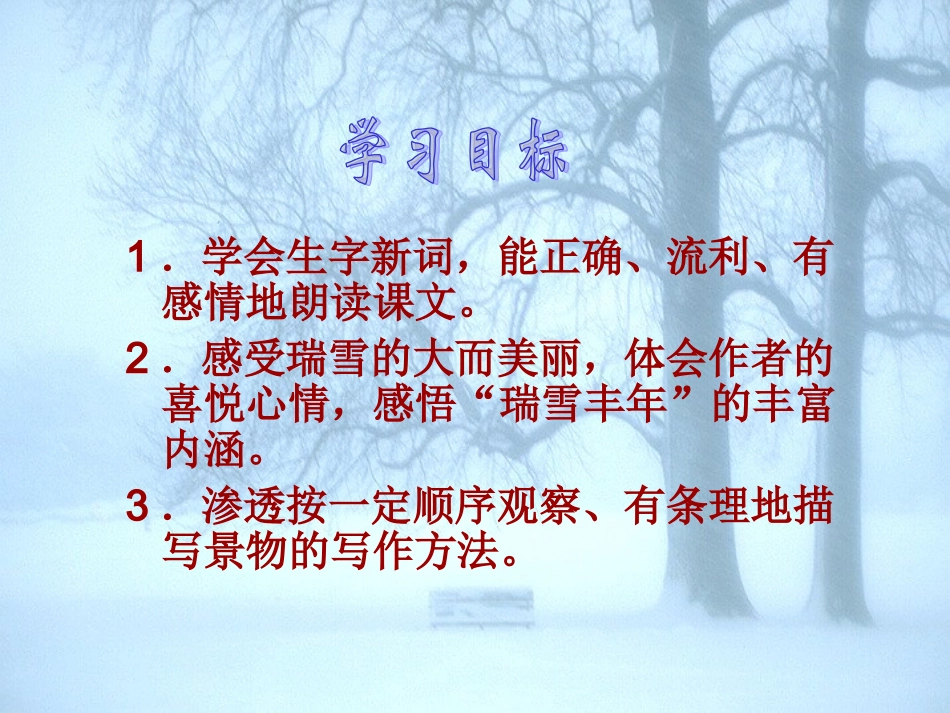 北师大版小学四上《瑞雪图》课件_第2页