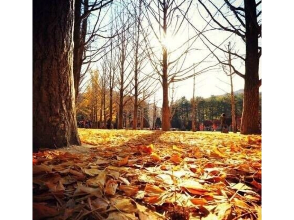 苏教版语文一上7、秋姑娘的信课件_第3页