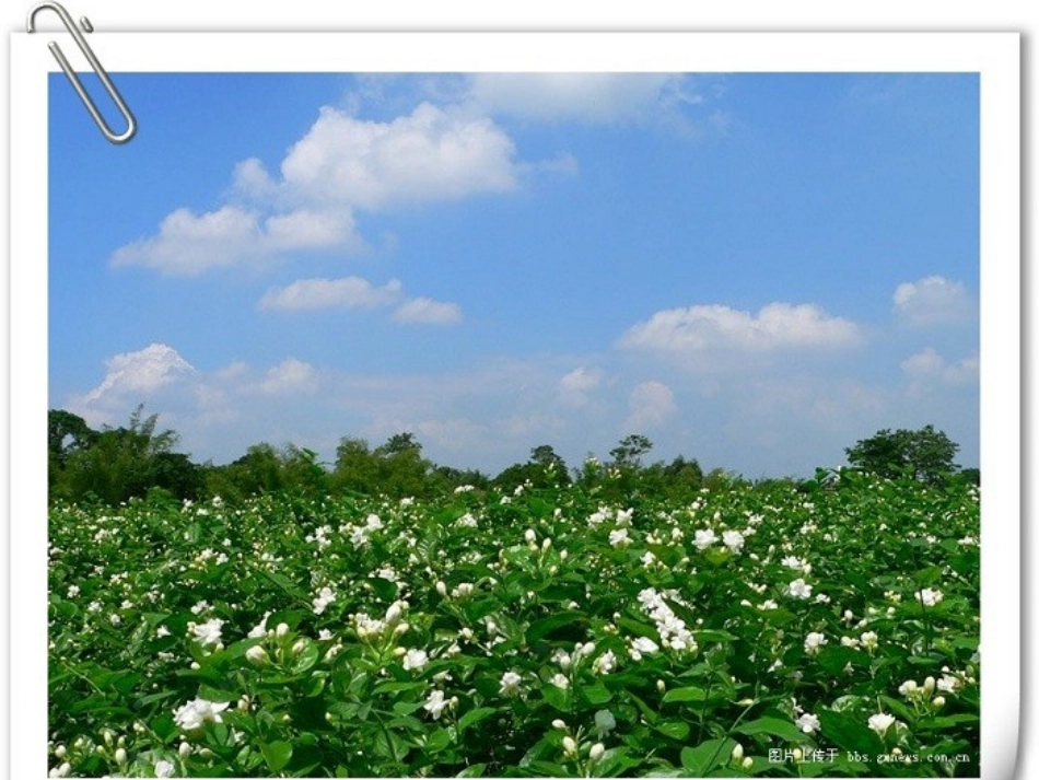 合理安排时间1_第2页