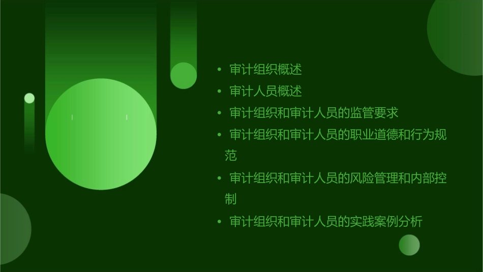 审计组织和审计人员教学课件_第2页