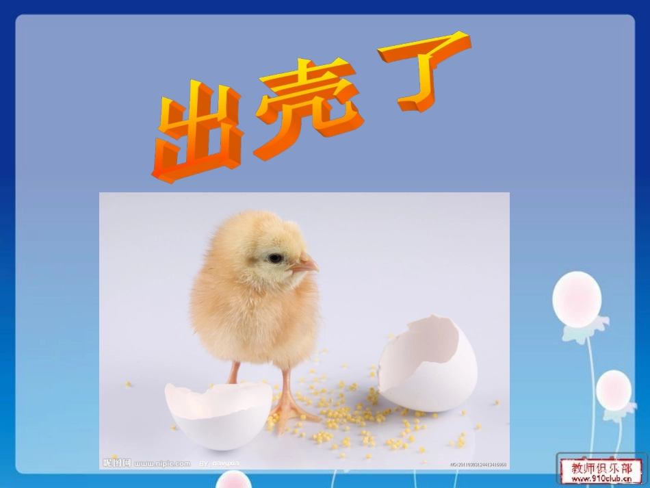 《出壳了》课件_第3页