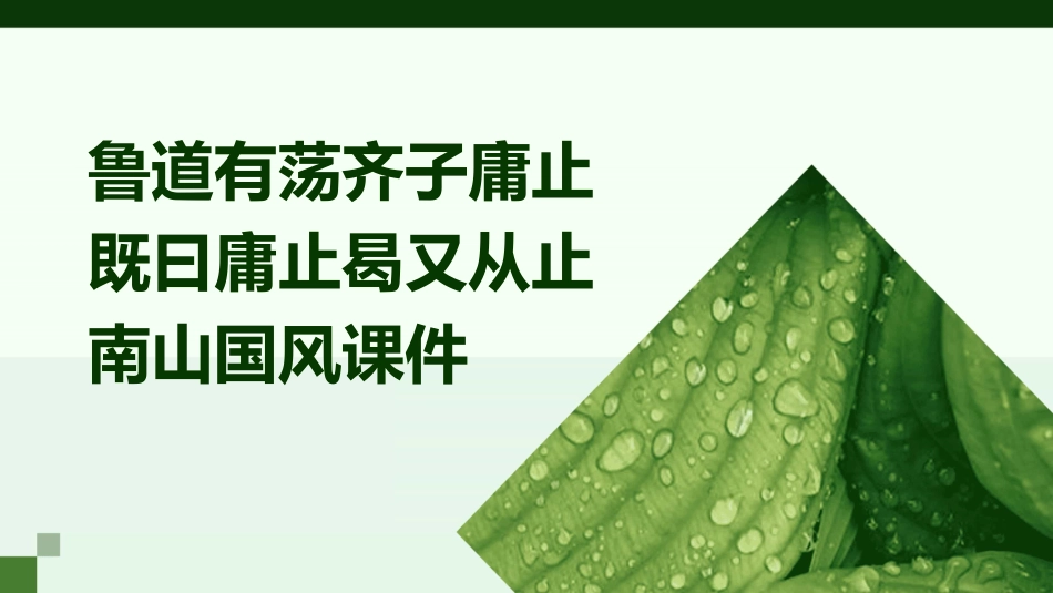 鲁道有荡齐子庸止既曰庸止曷又从止南山国风课件_第1页