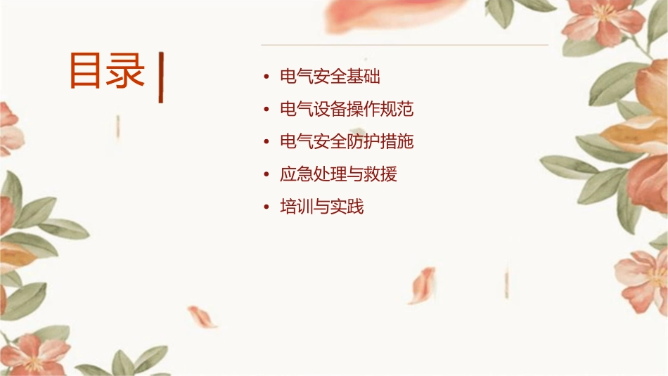 电气操作导则课件_第2页