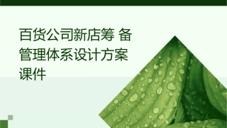 百货公司新店筹备管理体系设计方案课件
