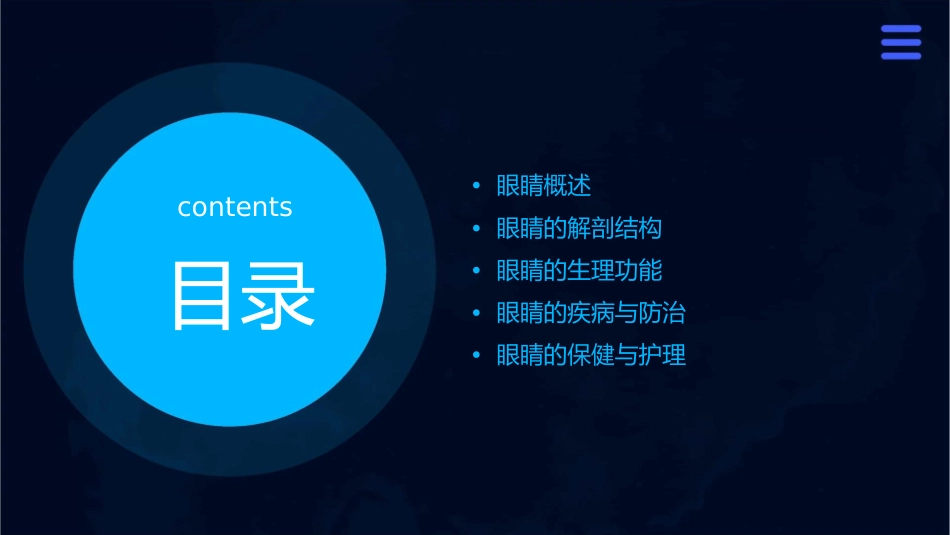 眼睛结构详细图解课件_第2页