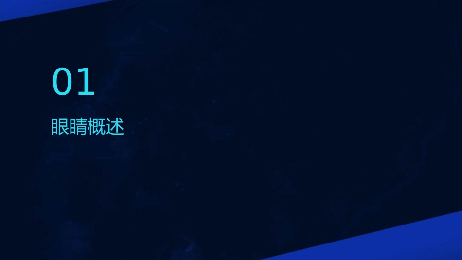 眼睛结构详细图解课件_第3页