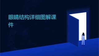 眼睛结构详细图解课件