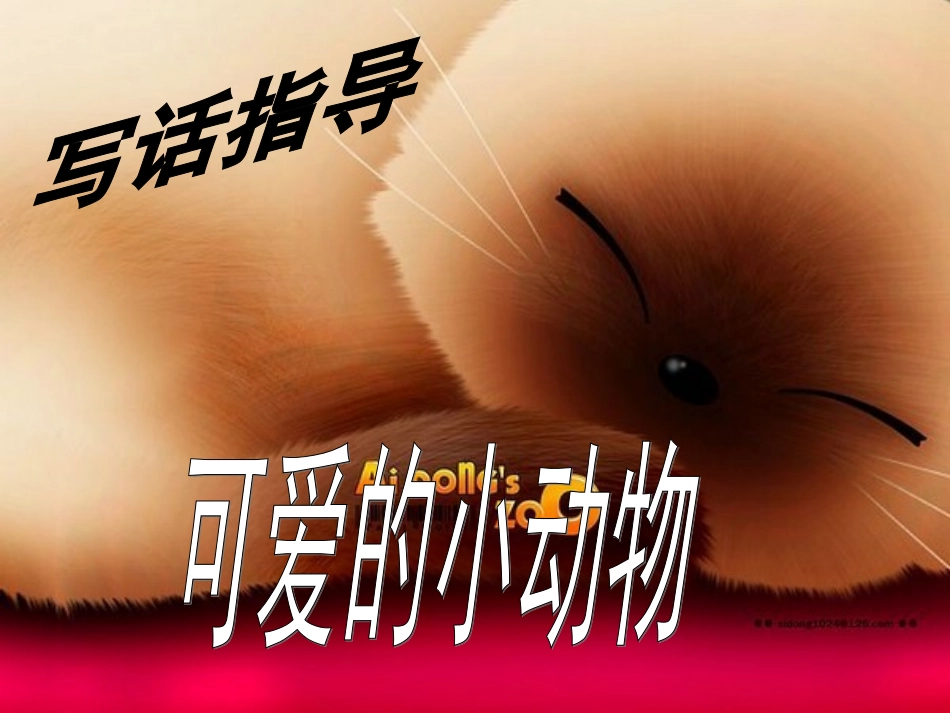 可爱的小动物(范文)_第1页