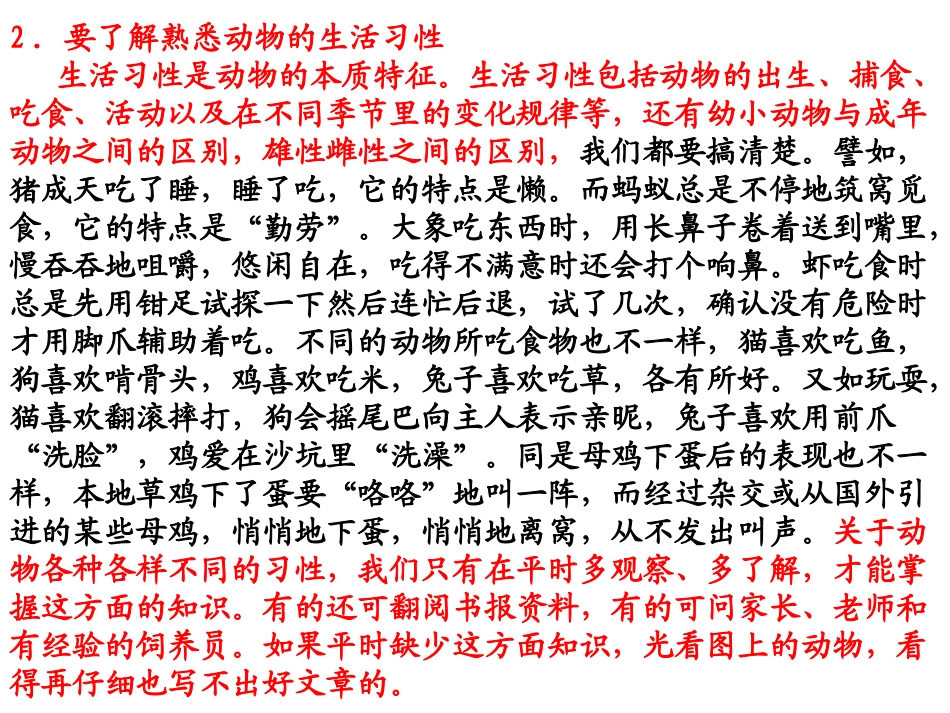 可爱的小动物(范文)_第3页