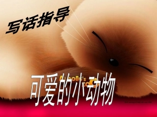 可爱的小动物(范文)
