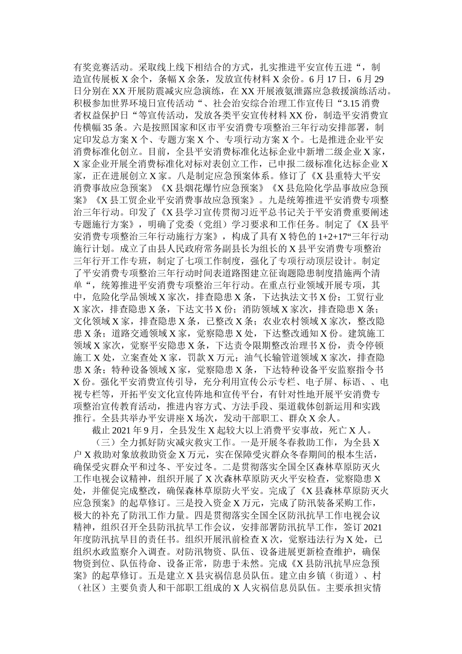 县年工作总结暨年工作思路（应急管理局）_第2页