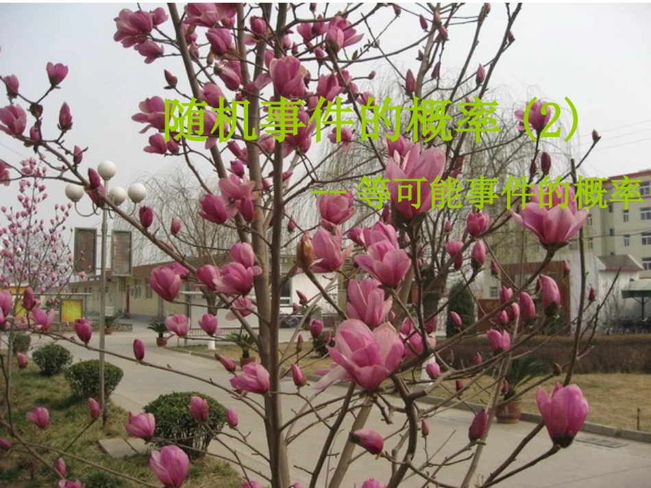 随机事件的概率第2课时教学课件_第1页